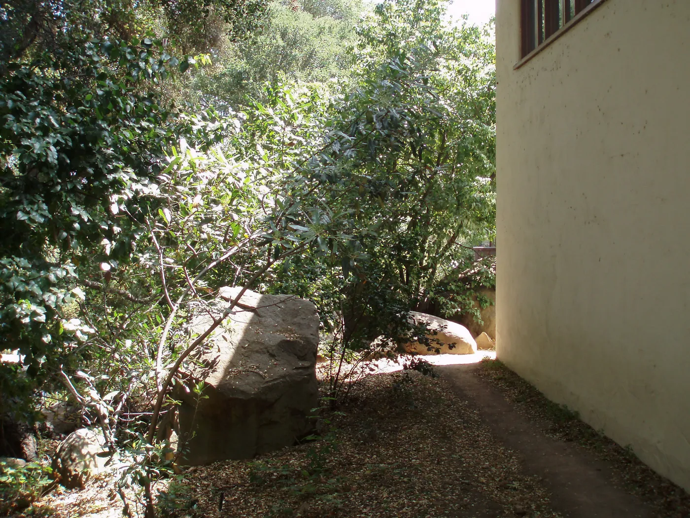 Boulder on east side of Herbarium