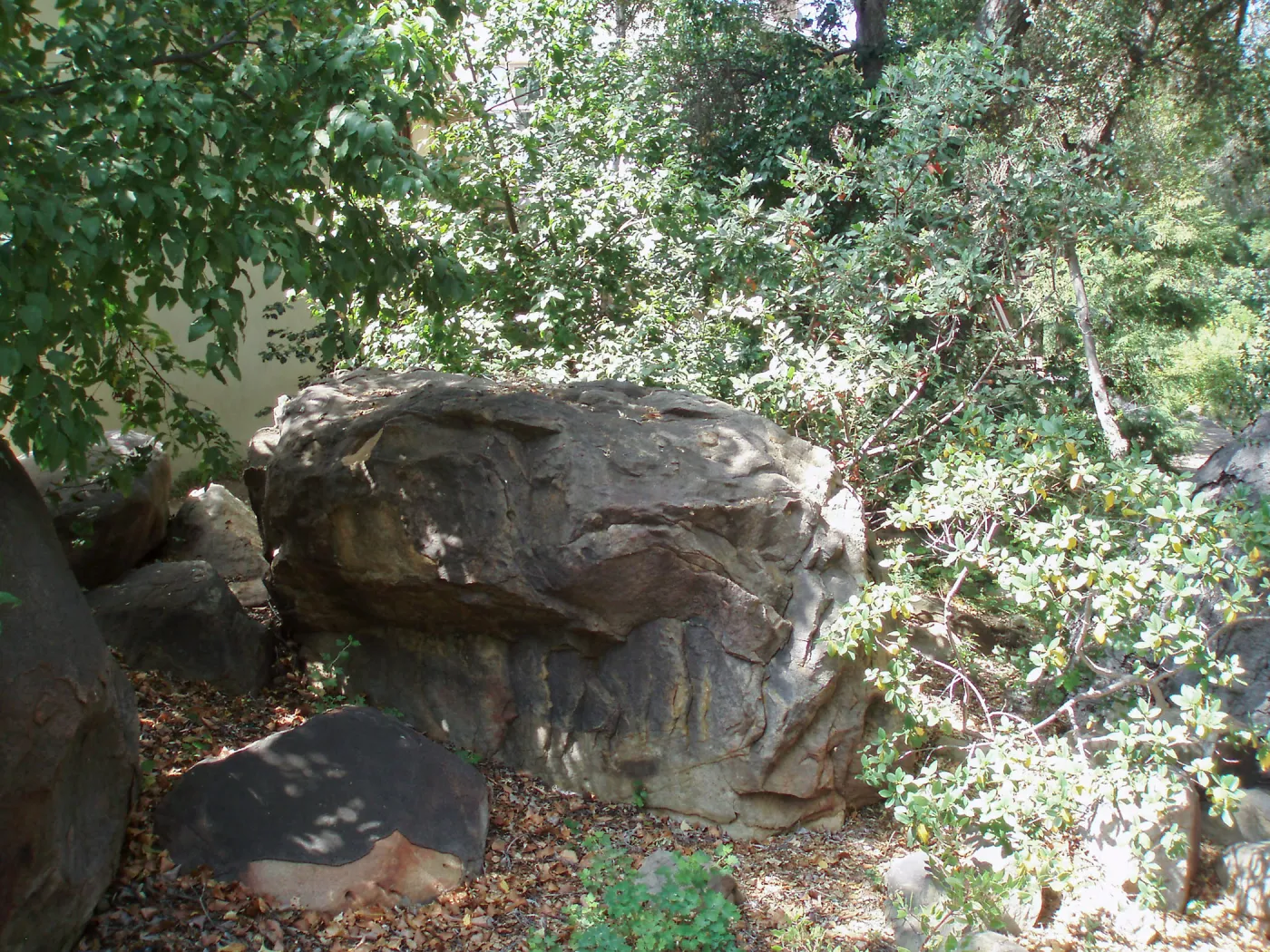 Boulder on east side of Herbarium