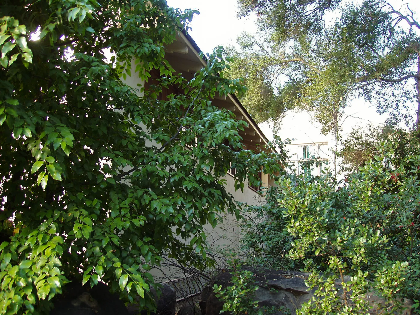 Herbarium east side