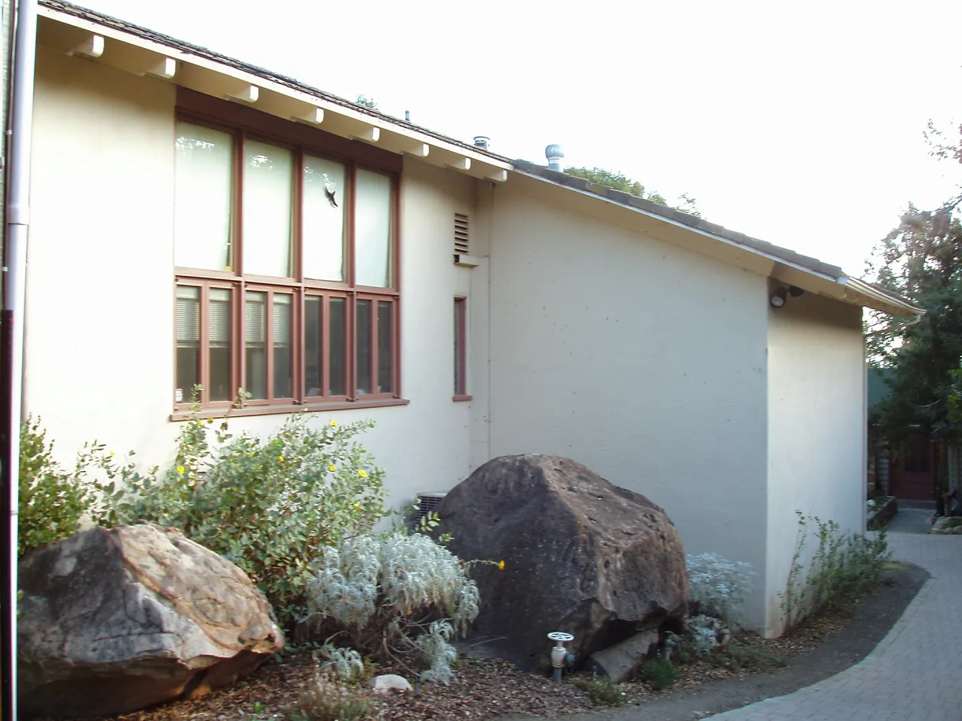 Herbarium west side from north