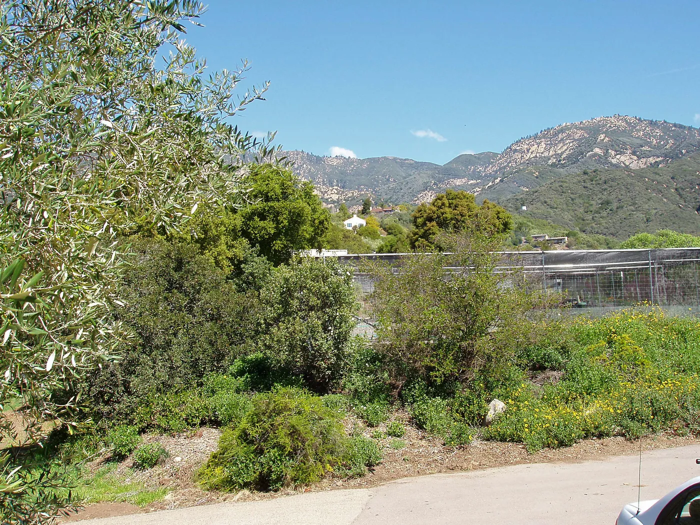 Garden Growers Canyard view from south