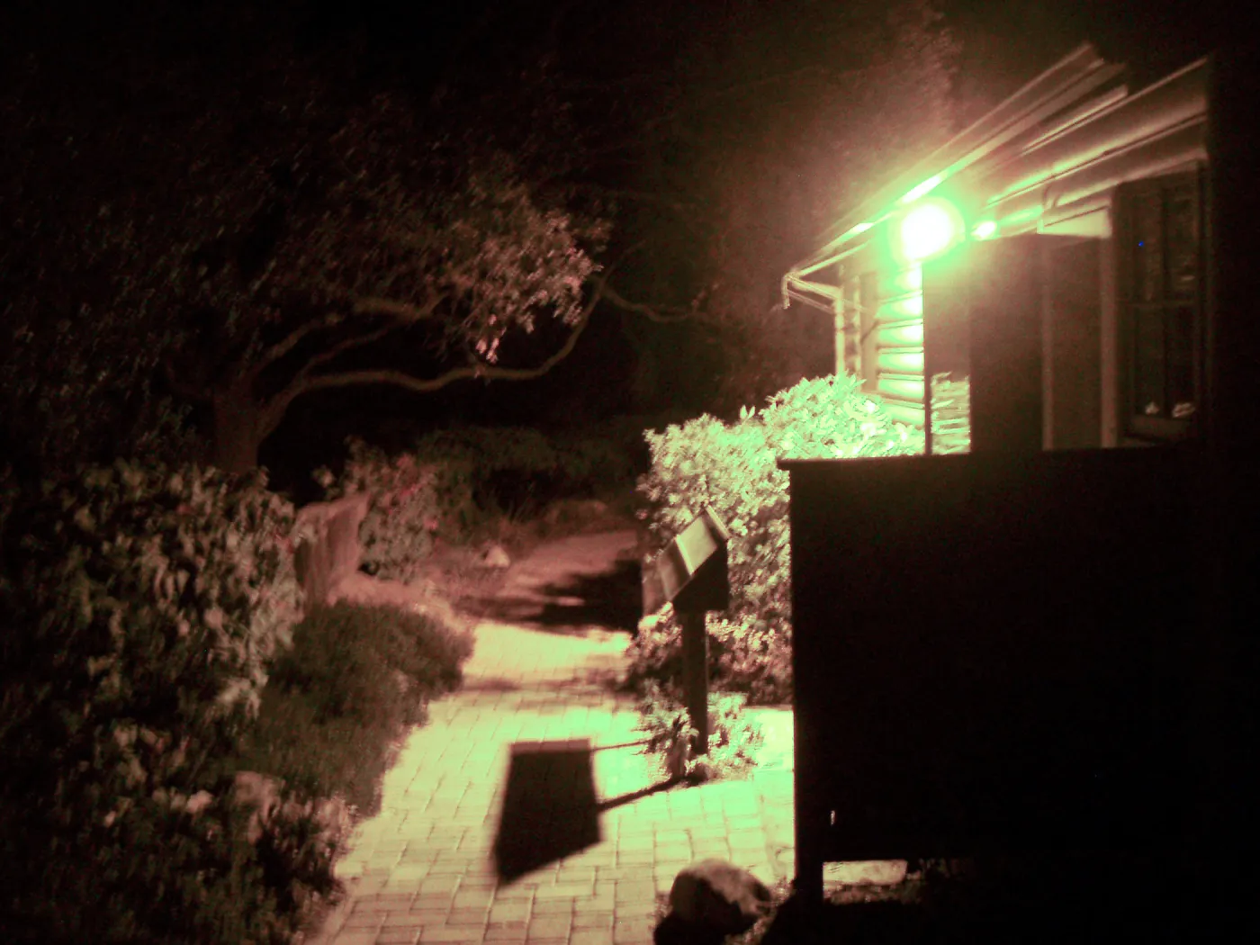Home Demonstration Garden at night, looking south along path to east of Cottage