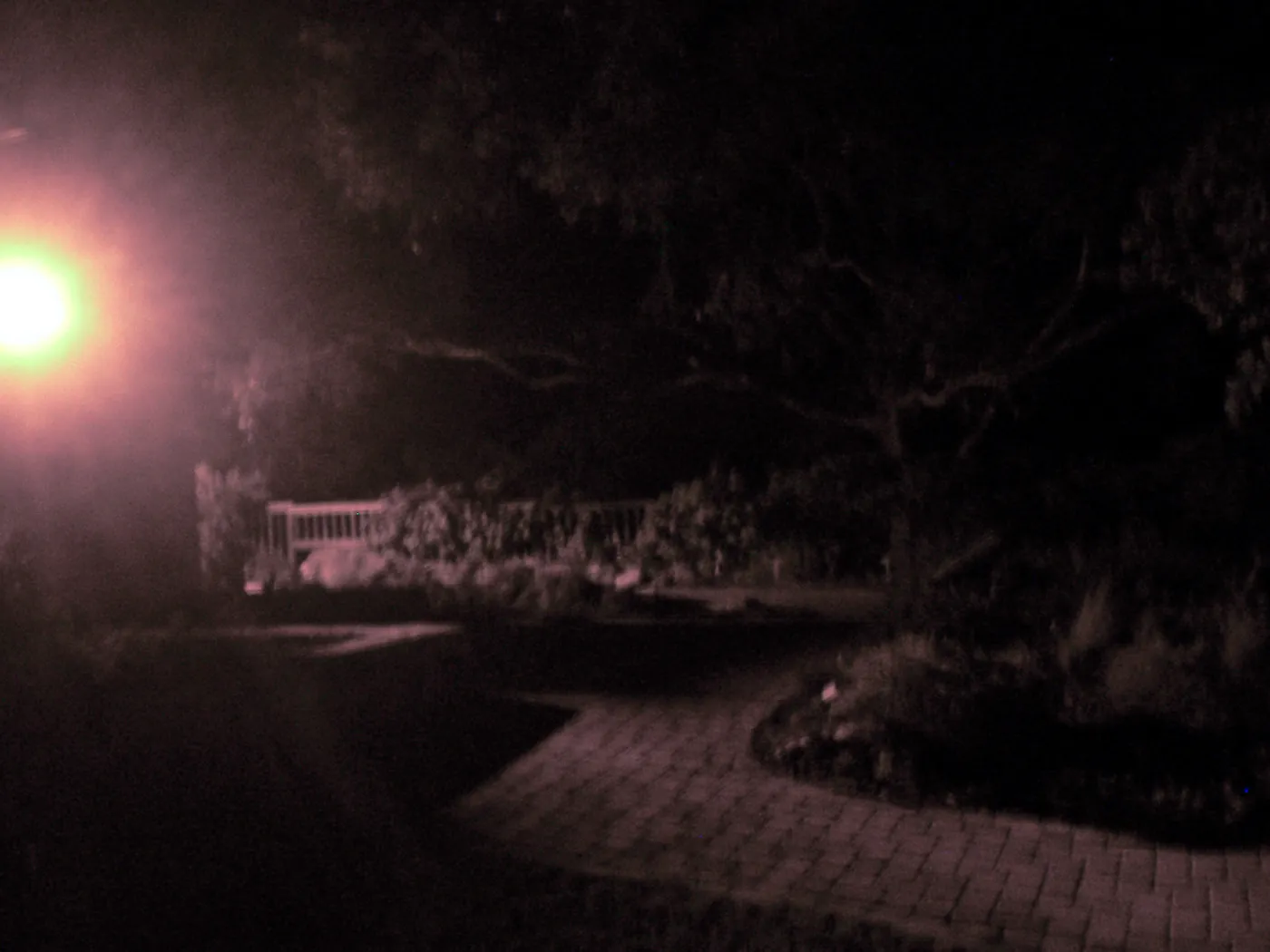 Home Demonstration Garden at night, at southeast corner of Cottage