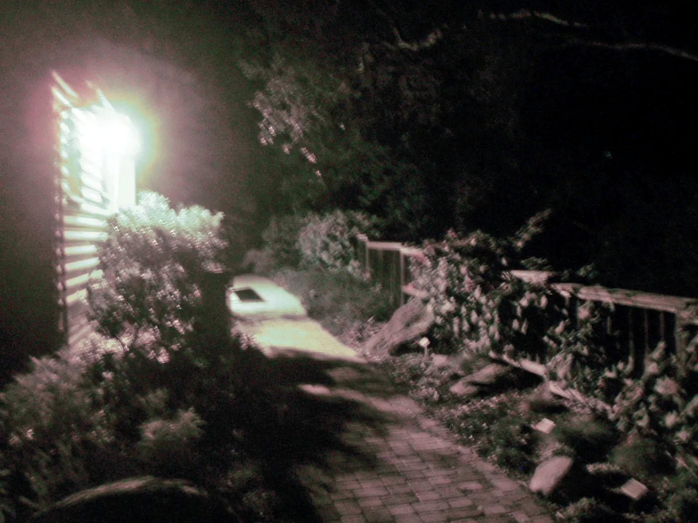 Home Demonstration Garden at night, looking north along path to east of Cottage