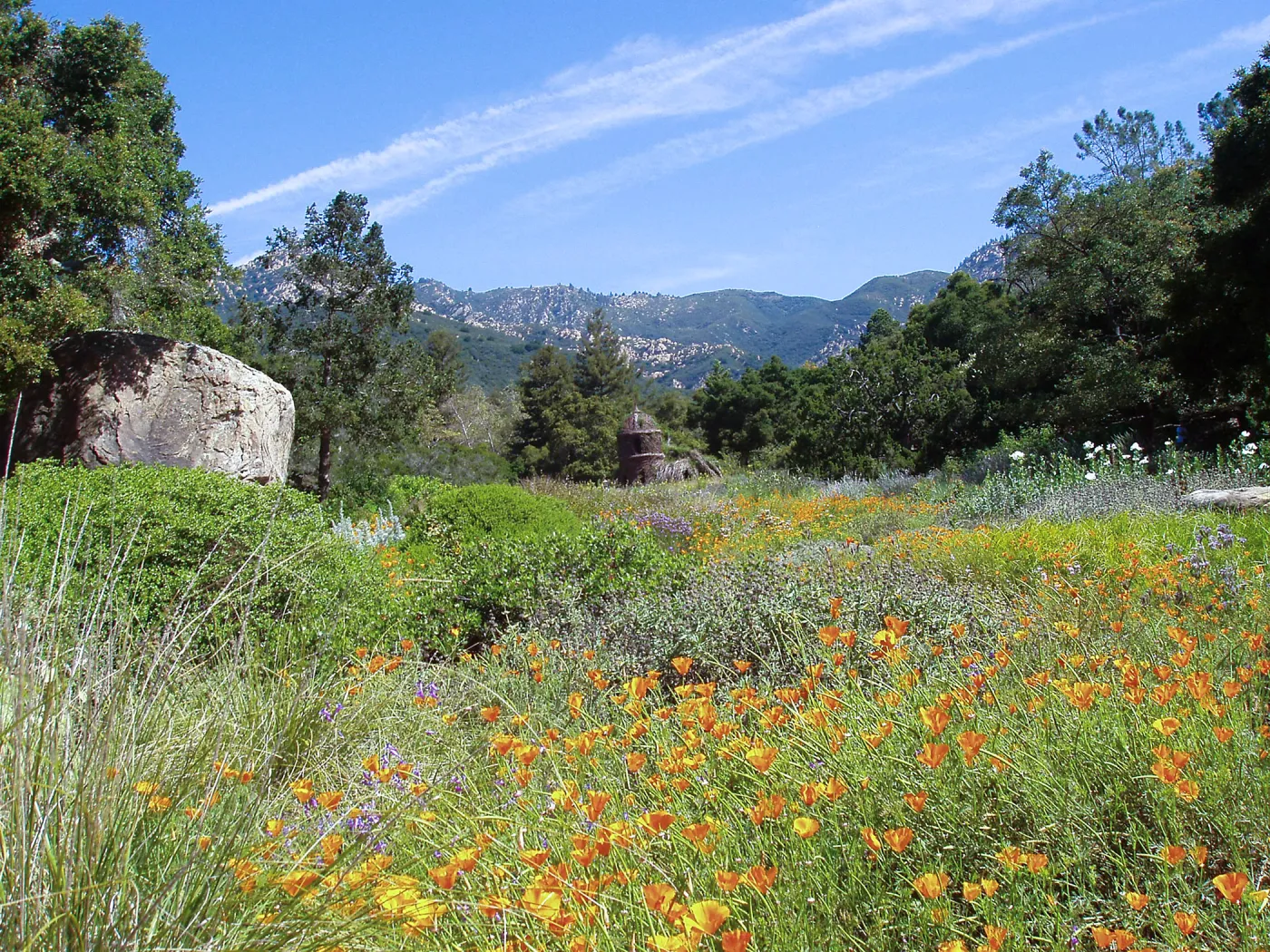 Meadow with Toad Hall