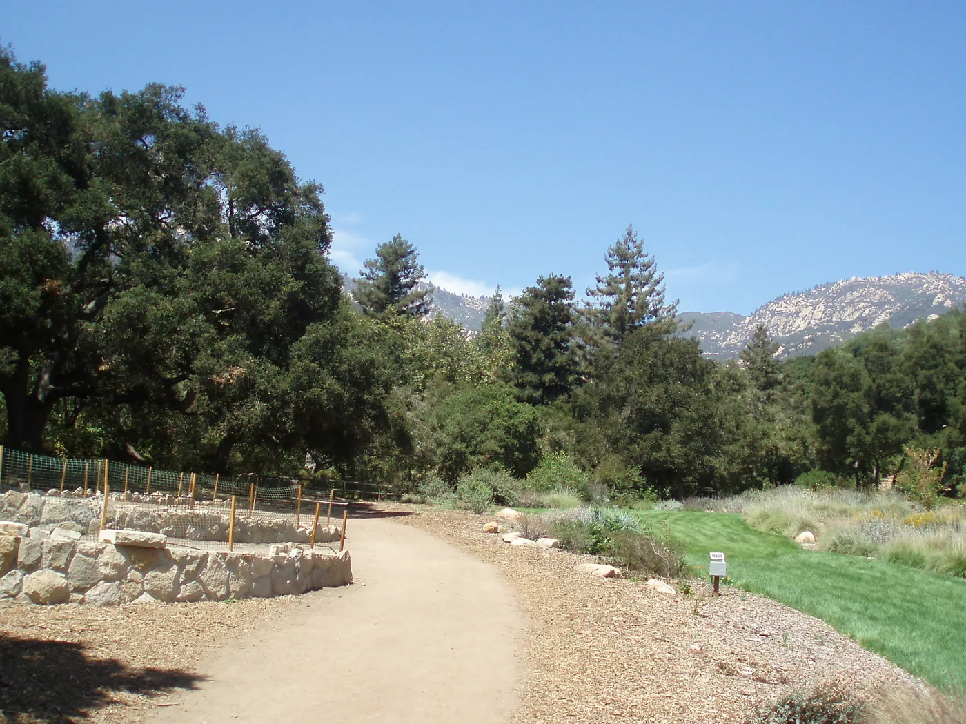 Meadow Terrace construction
