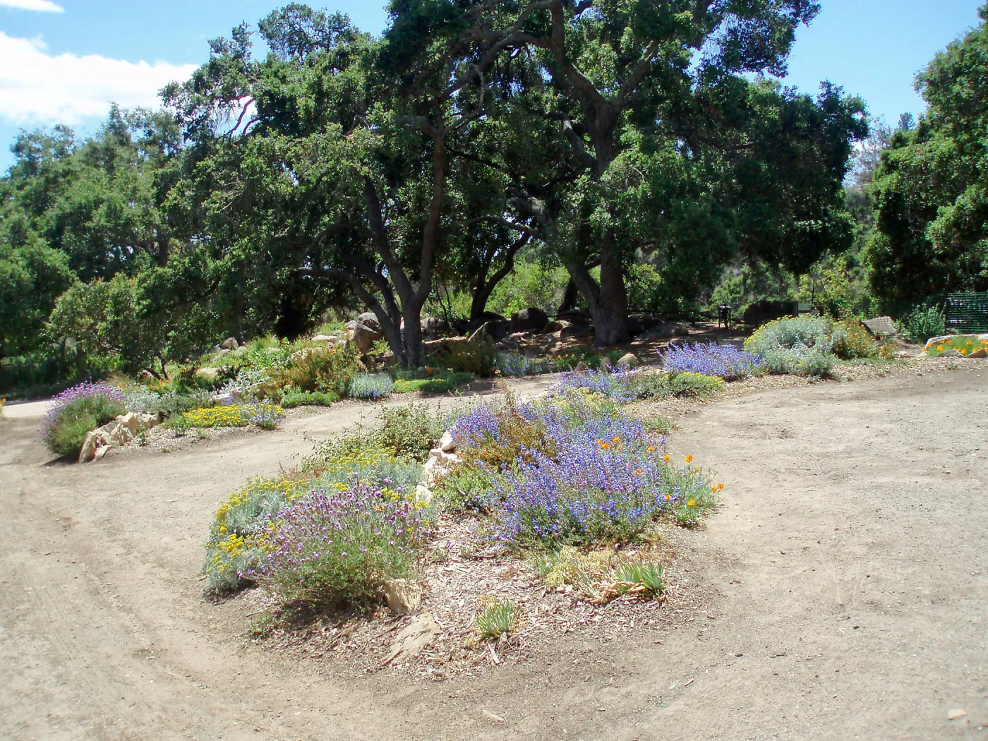 Meadow Terrace