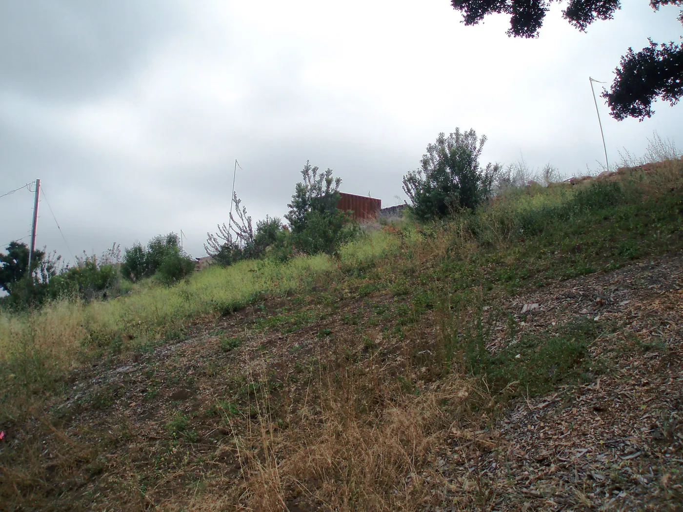 Pritzlaff Conservation Center story poles, view from East Slope