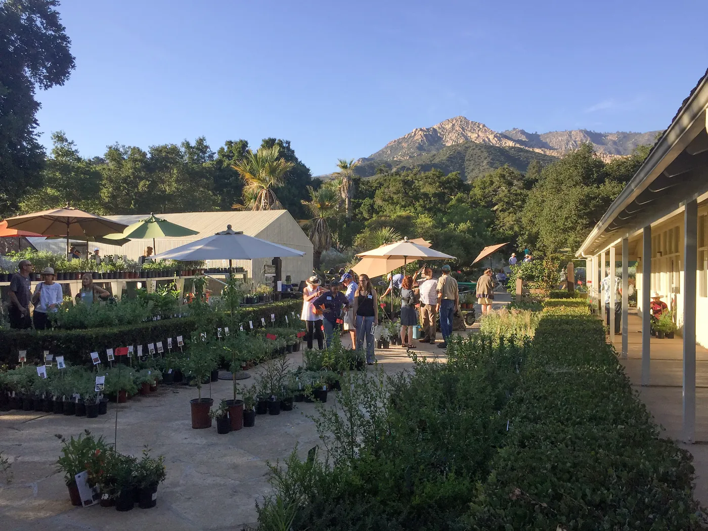 2017 Fall Plant Sale Preview Party