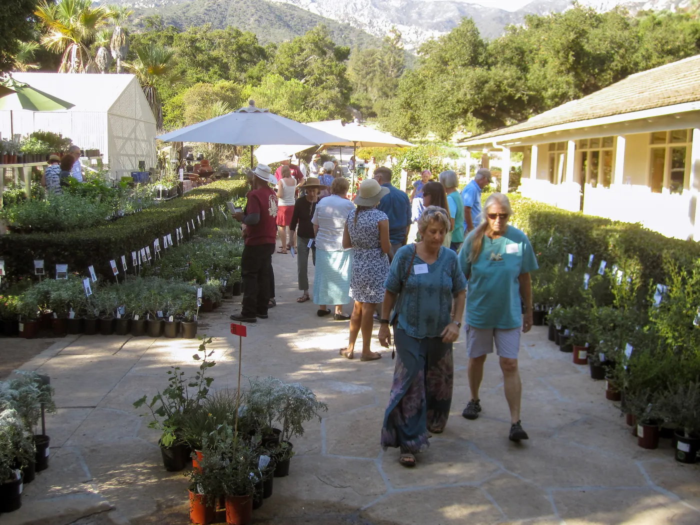 2017 Fall Plant Sale Preview Party