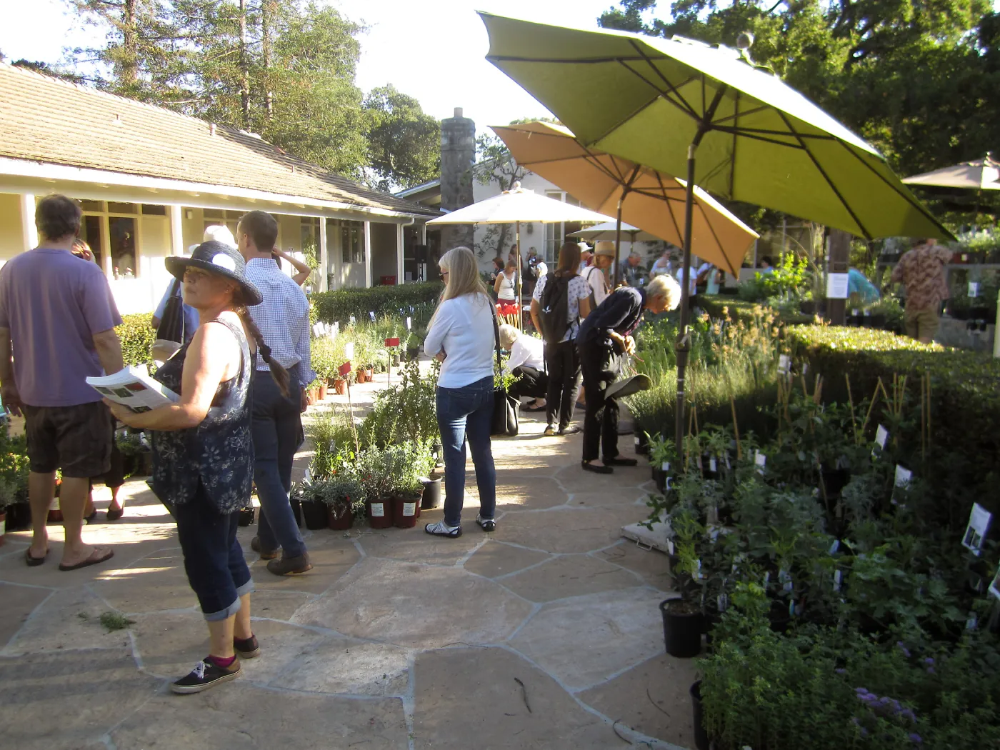 2017 Fall Plant Sale Preview Party