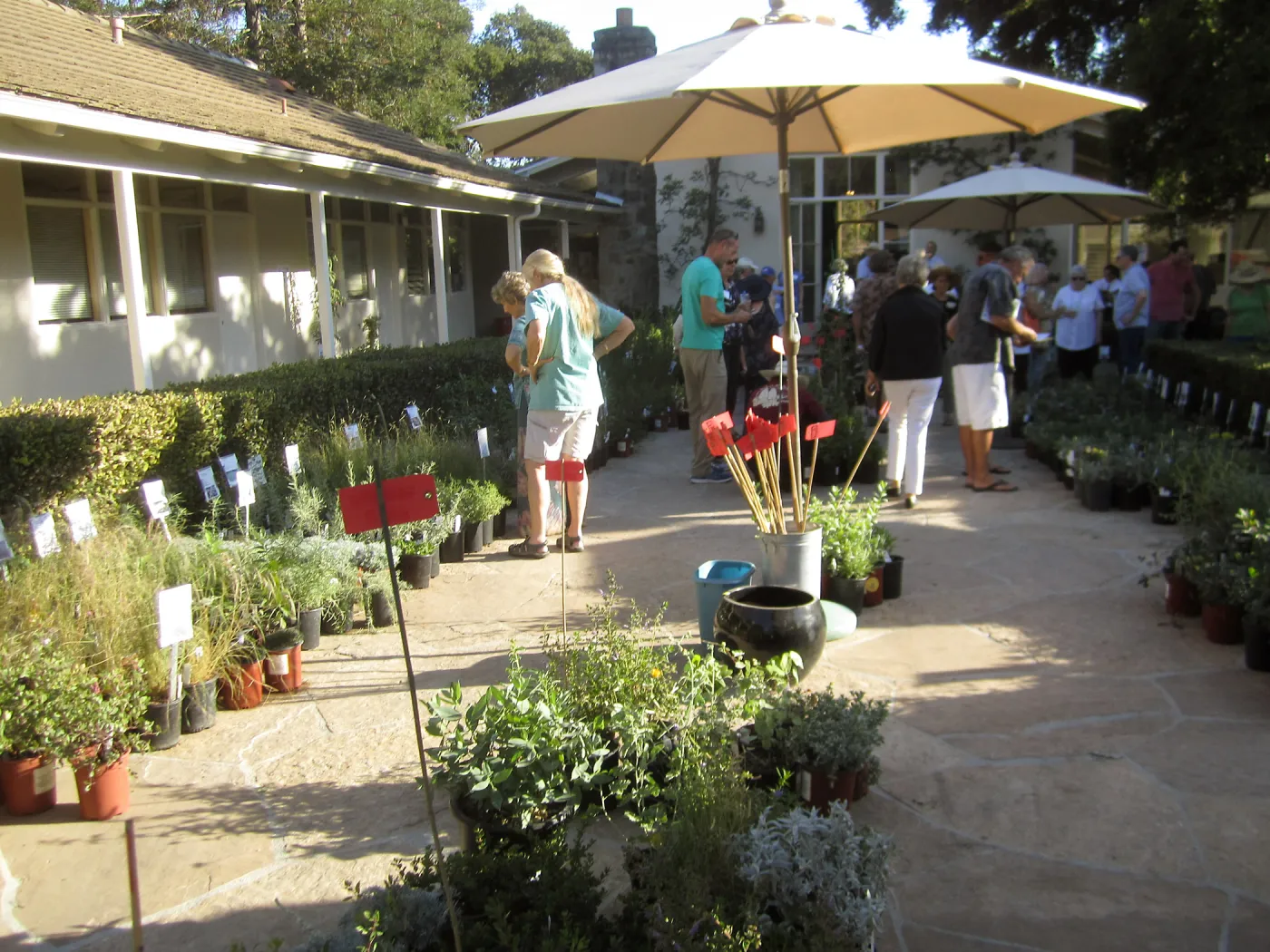 2017 Fall Plant Sale Preview Party