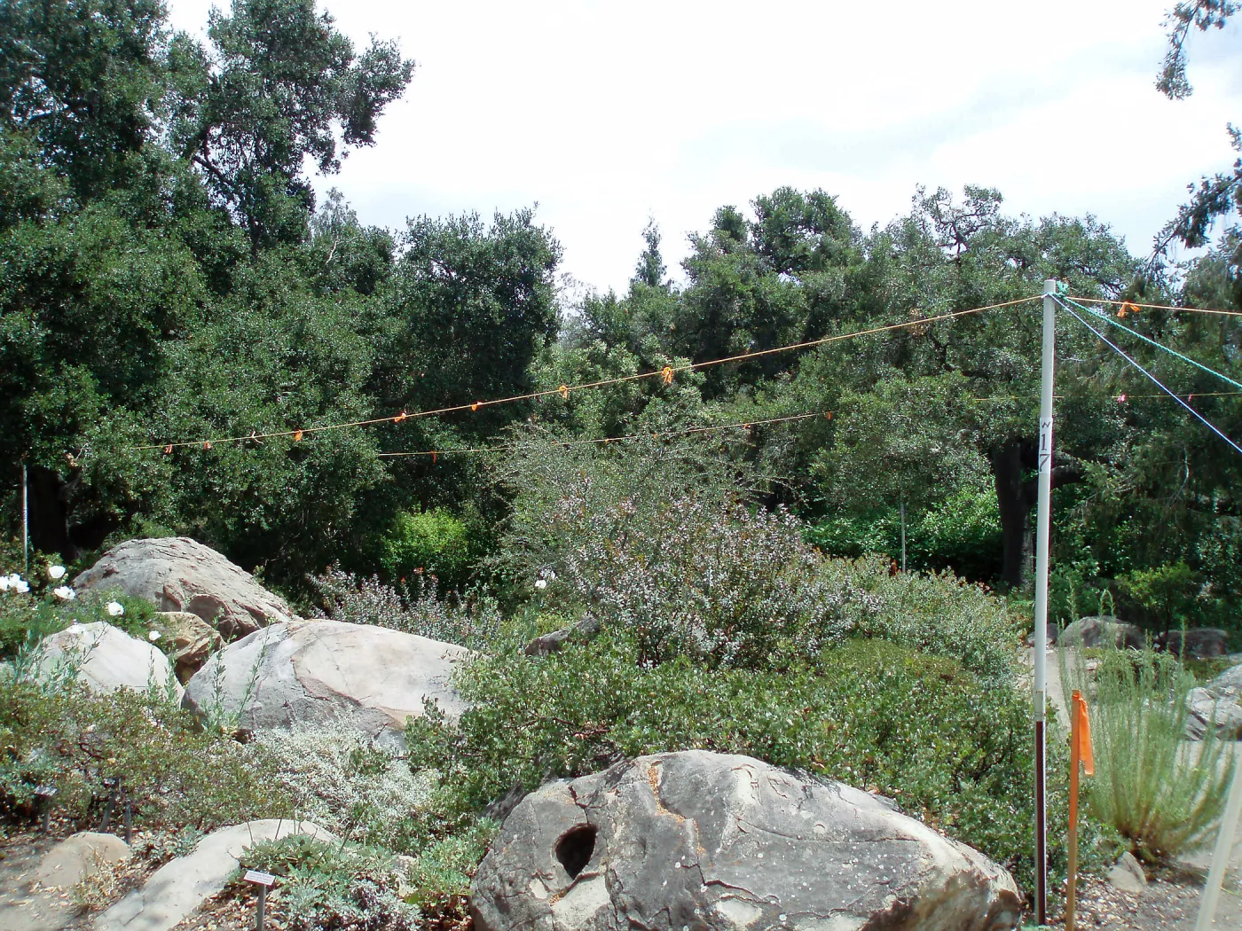 Story poles, Manzanita Section, Vital Mission Plan