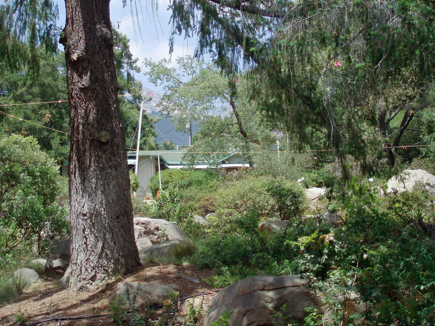 Story poles, Manzanita Section, Vital Mission Plan