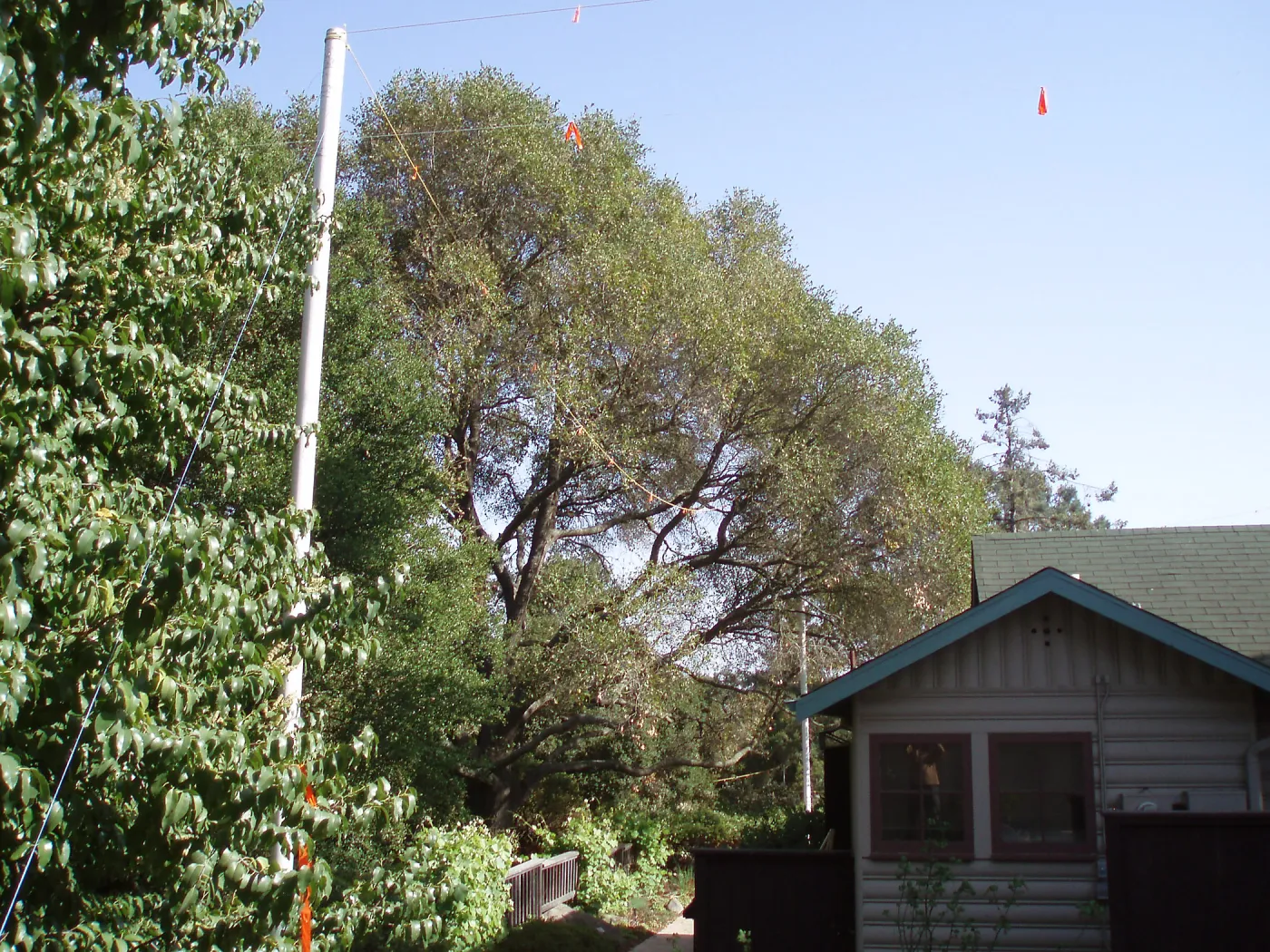 Story Poles, around Cottage, Vital Mission Plan