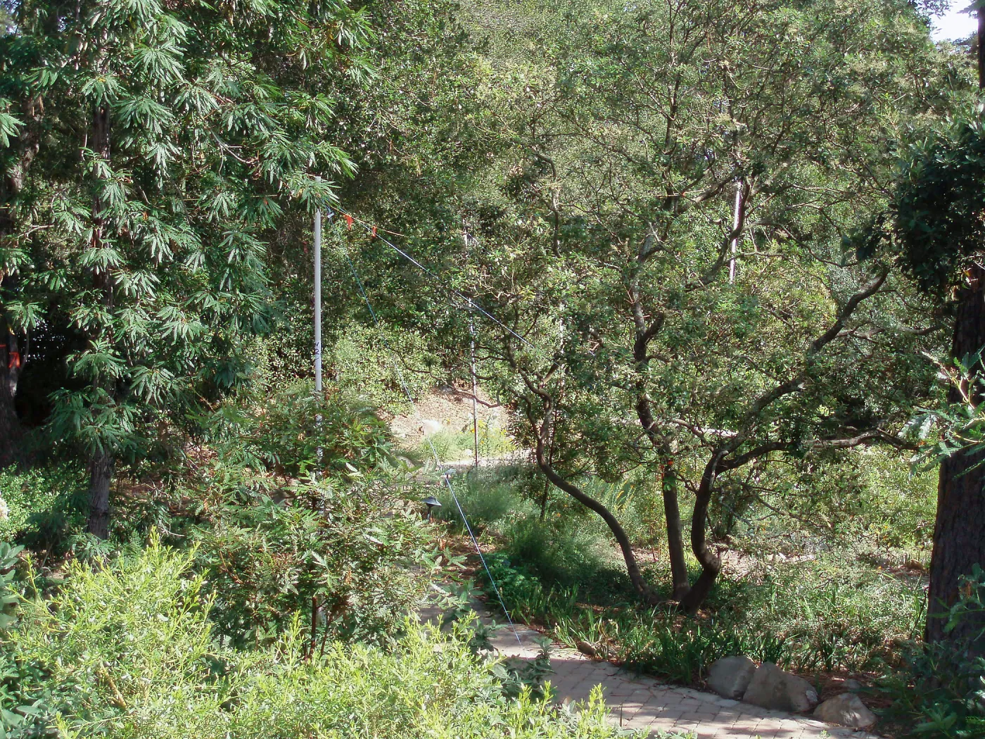 Story Poles, Arroyo Section, Vital Mission Plan