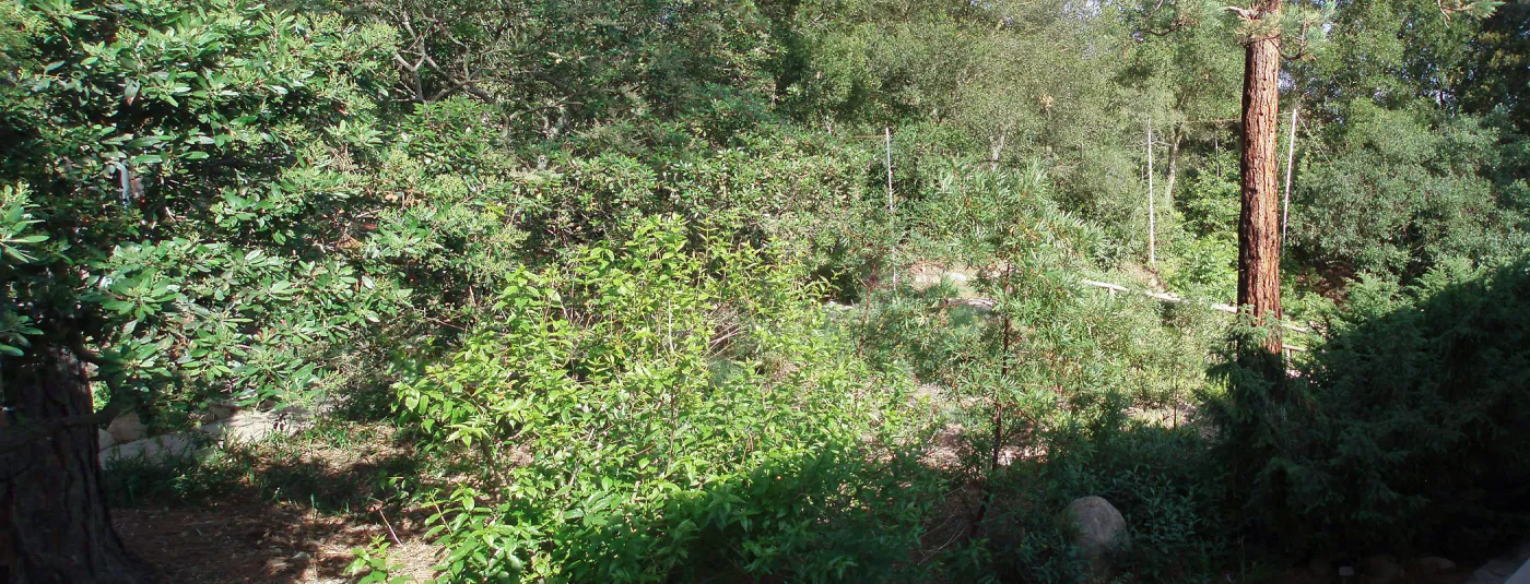 Story Poles, Arroyo Section, Vital Mission Plan