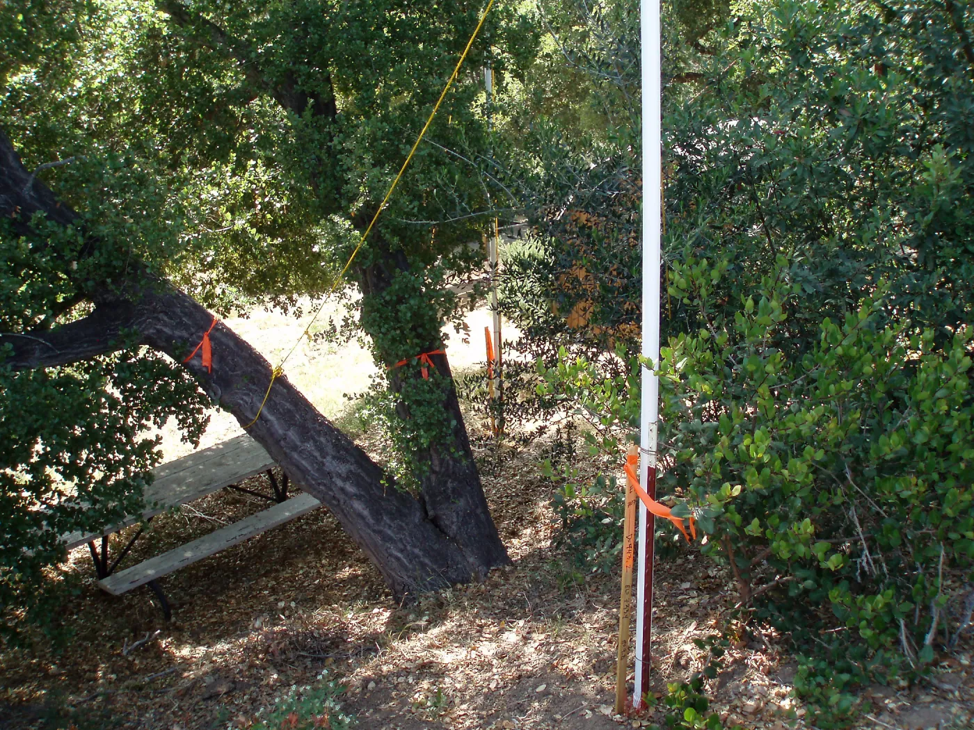 Story Poles, Garden Growers Canyard, Vital Mission Plan