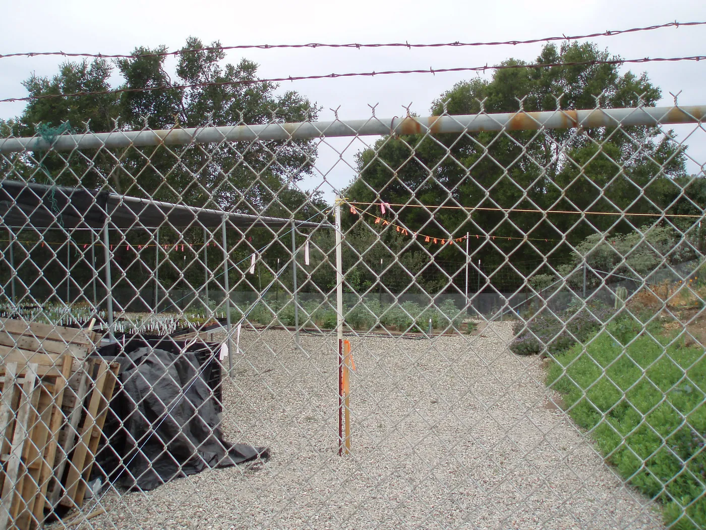 Story Poles in Garden Growers Canyard, Vital Mission Plan