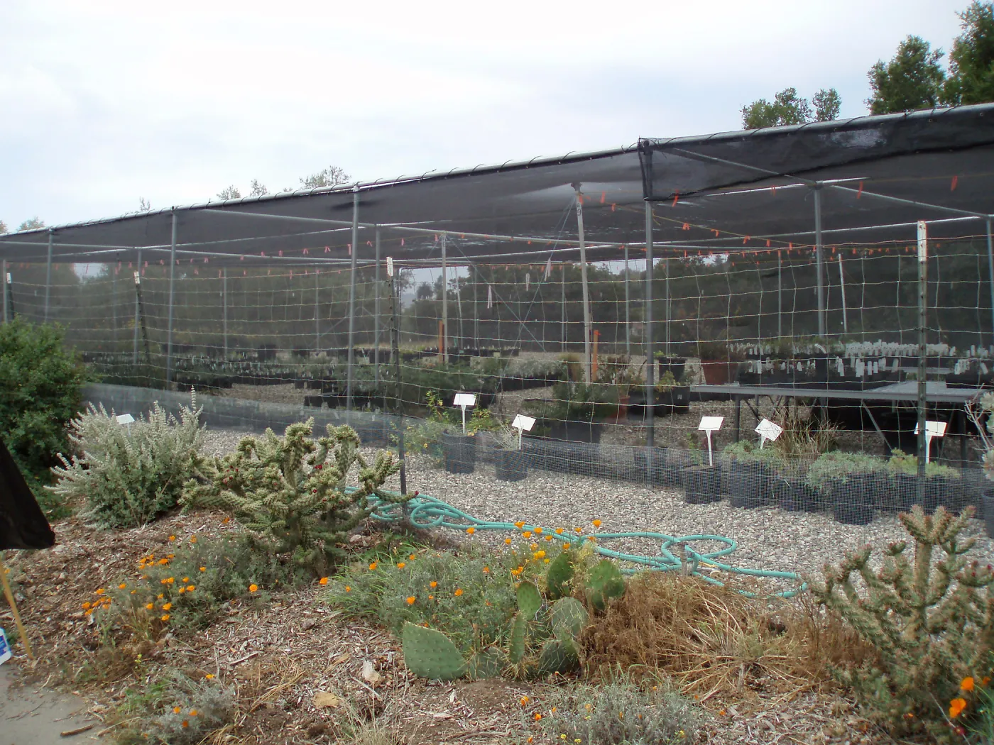 Story Poles in Garden Growers Canyard, Vital Mission Plan