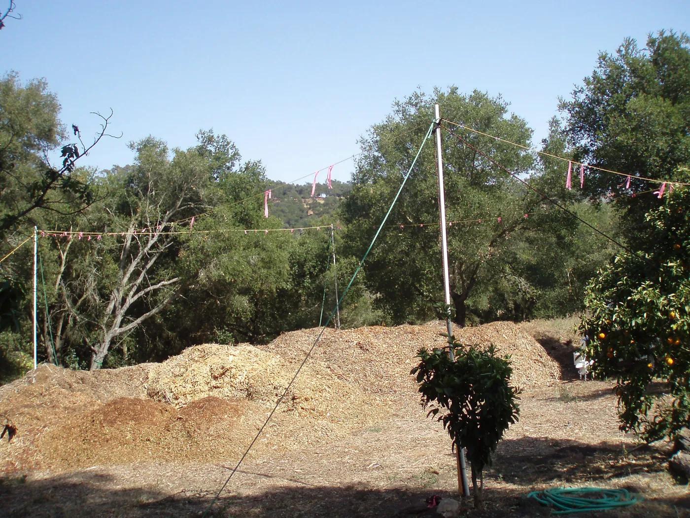 Story Poles, Hansen Site, Vital Mission Plan