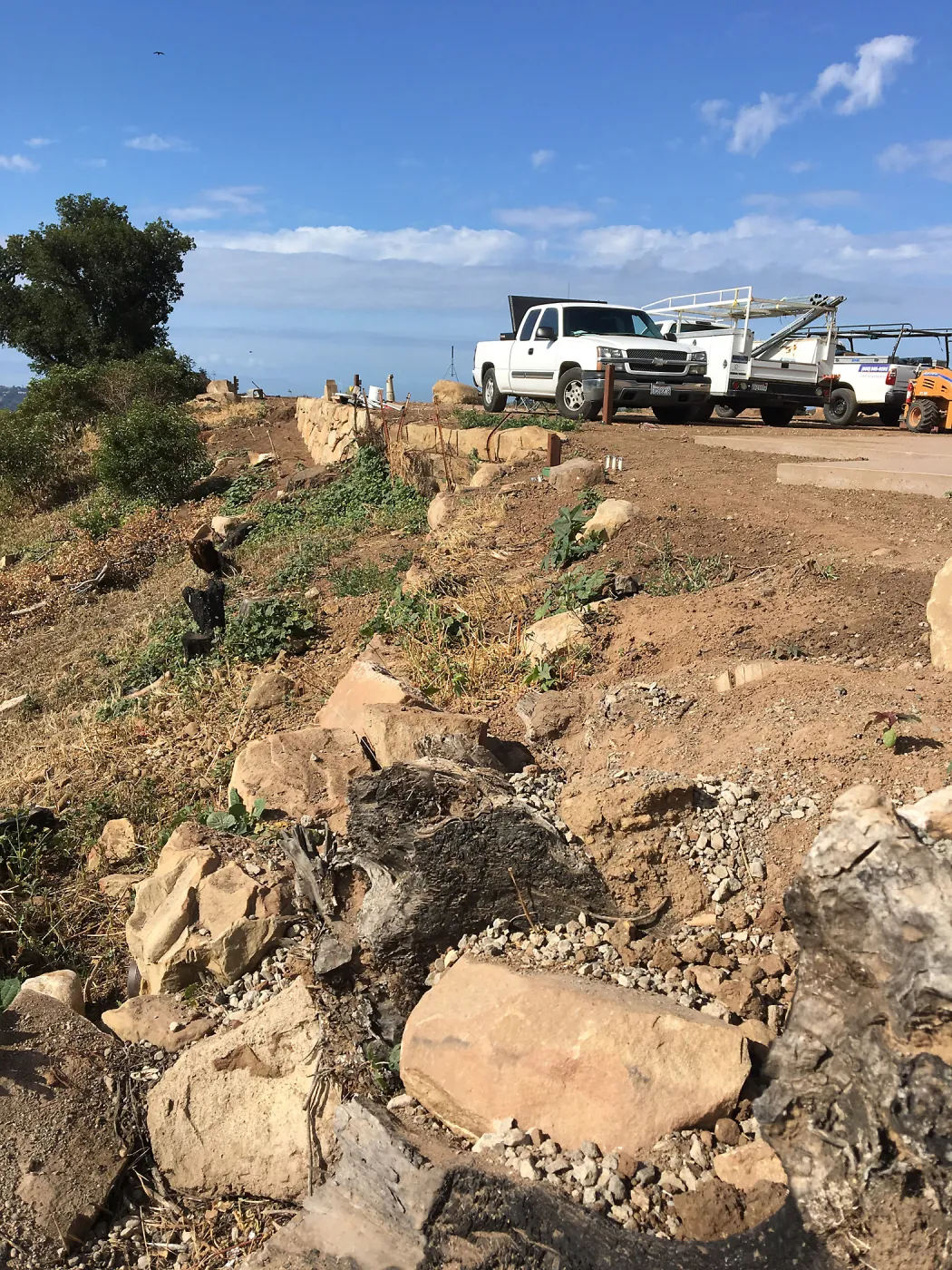 Slope at southeast corner of Pritzlaff Conservation Center during construction