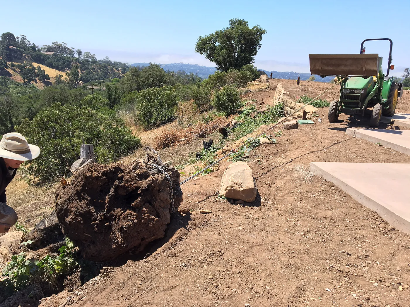 Removing olive stump on east side of Pritzlaff Conservation Center