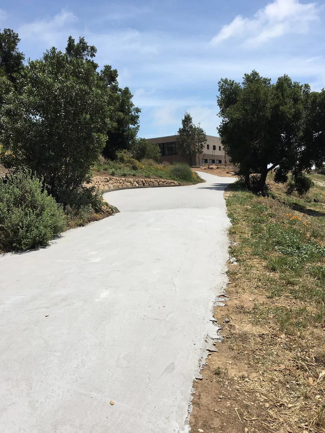 Light colored ecosealant on driveway heading to Pritzlaff Conservation Center