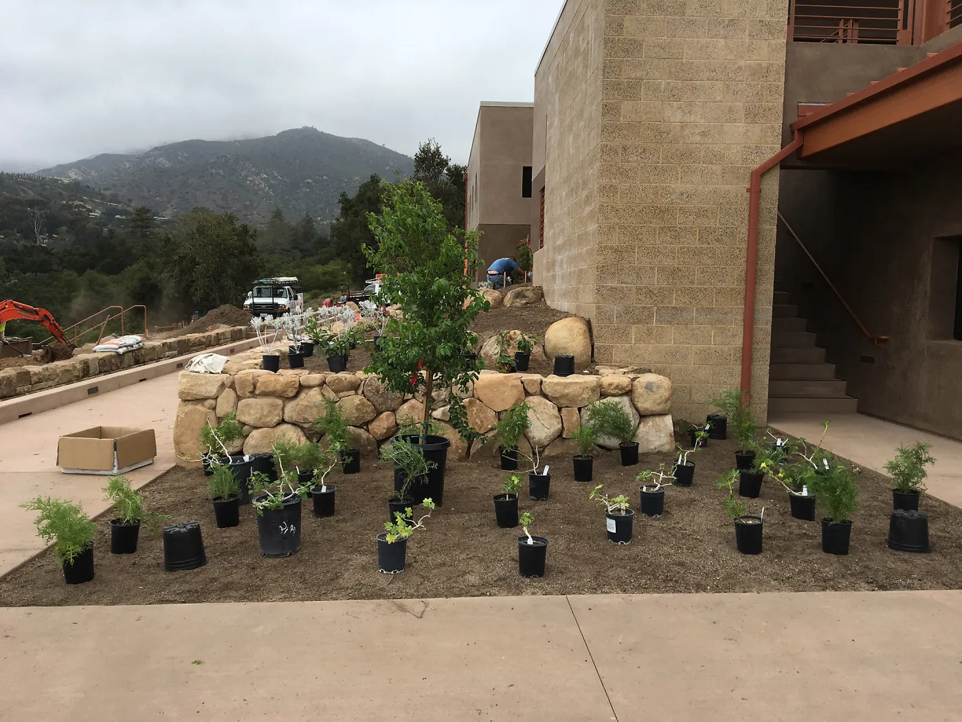 Planting the Island View Garden at the Pritzlaff Conservation Center