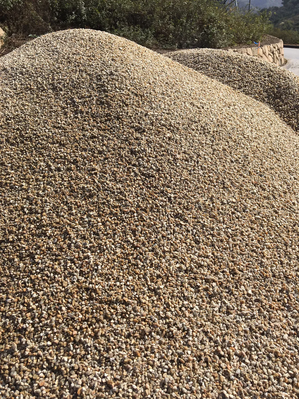Pritzlaff Conservation Center, gravel for Eco-PaveÂ® path