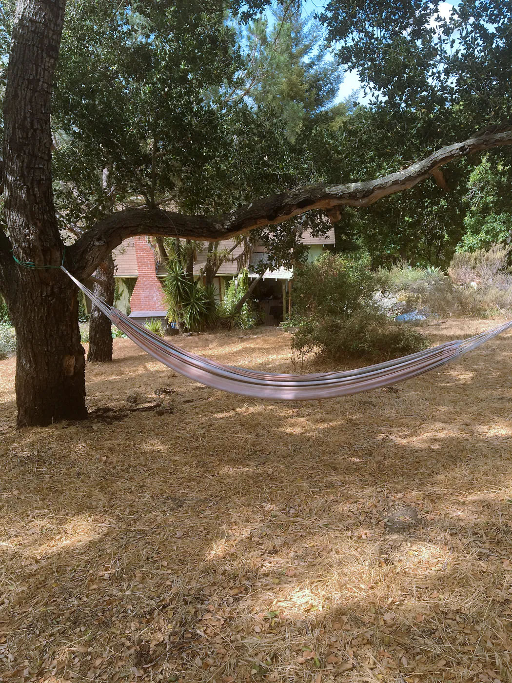 Before reconstruction of stairs down south slope of Island View Garden
