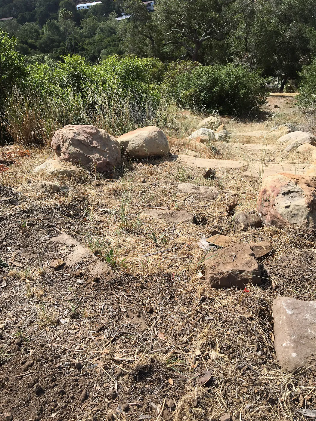 Before reconstruction of stairs down south slope of Island View Garden
