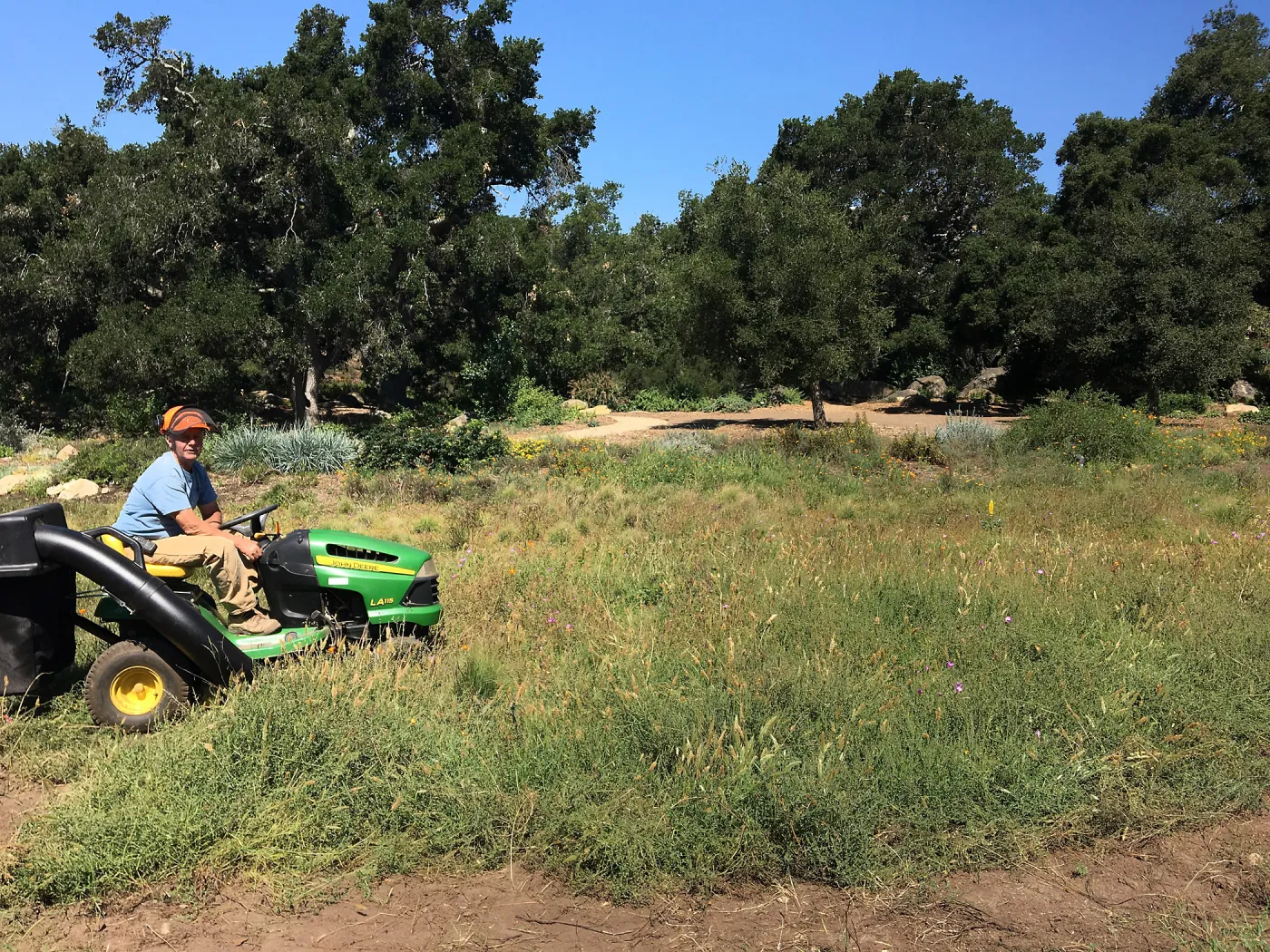 Trial meadow mowing
