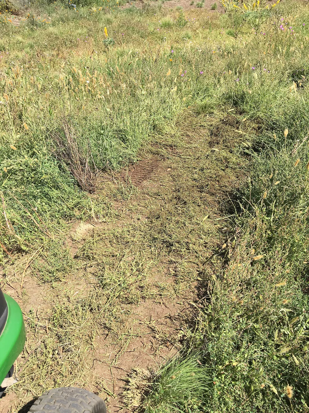Trial meadow mowing