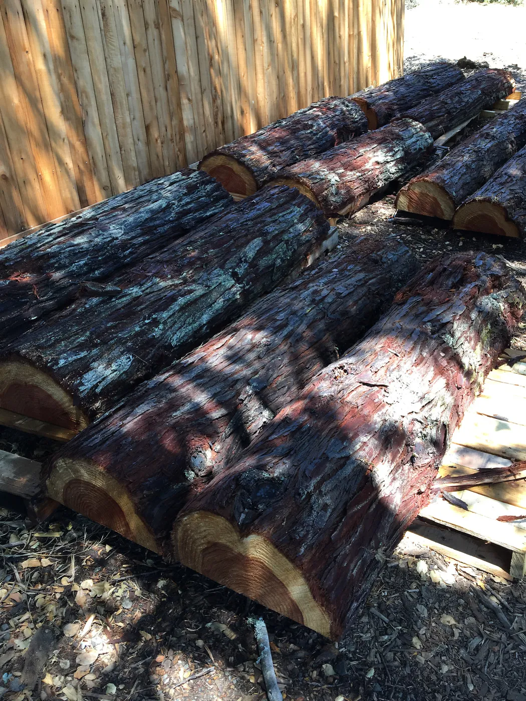 Redwood logs for benches