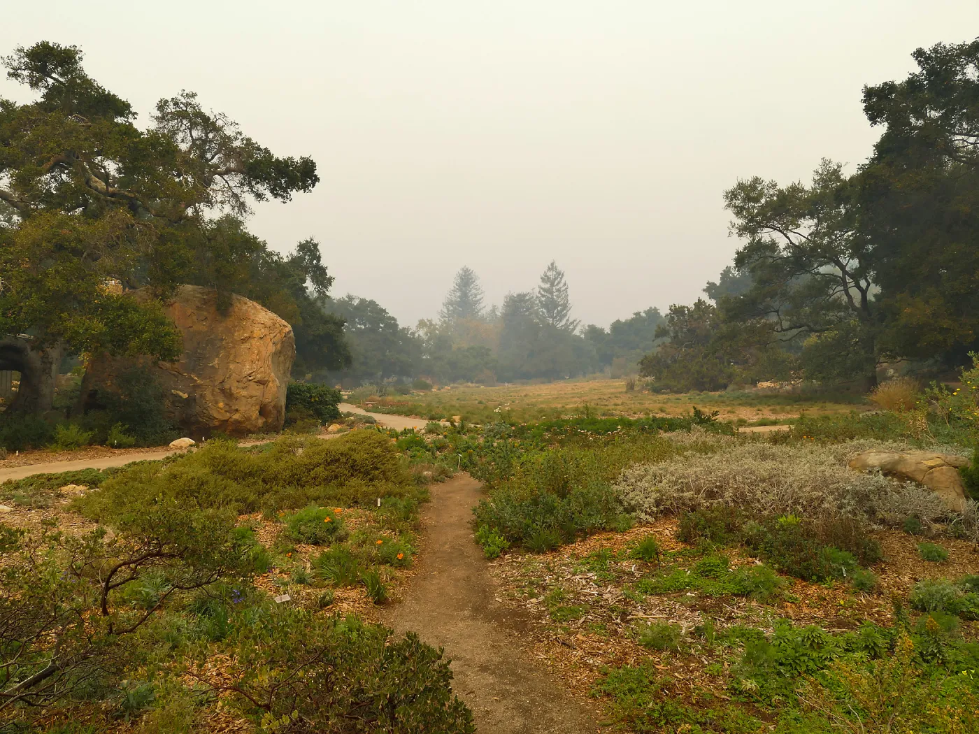 Groundcover Section, Meadow and Blaksley Boulder in smoke from Thomas Fire