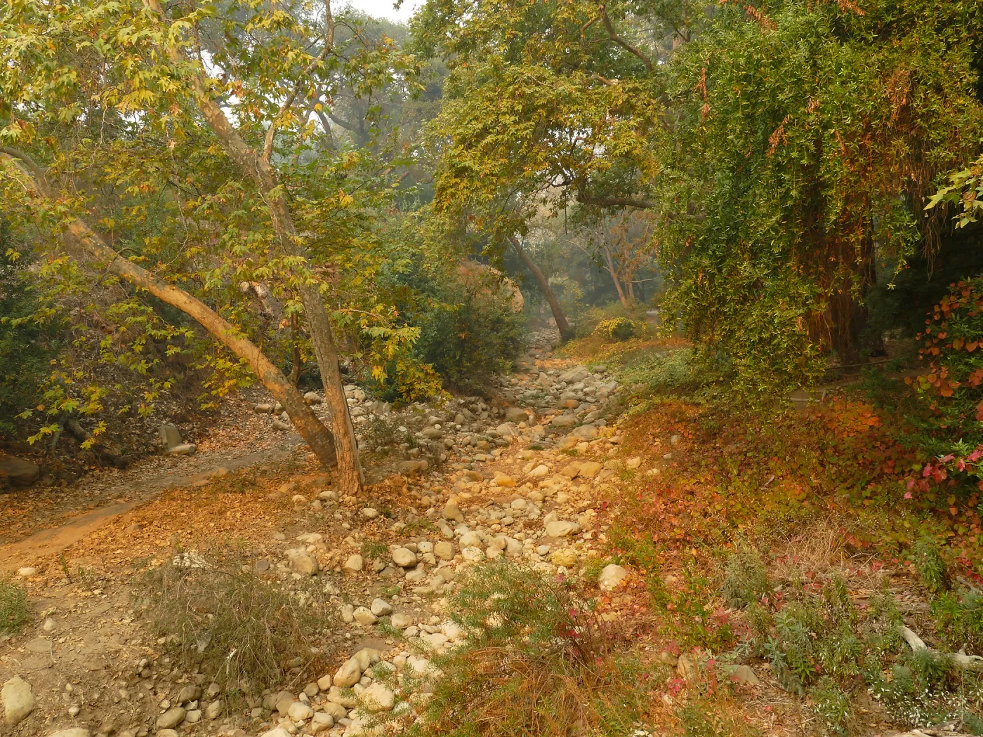 Mission Creek in smoke from Thomas Fire
