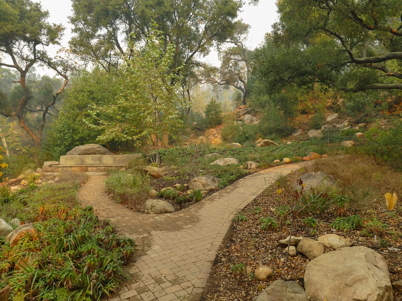 Wooded Dell in smoke from Thomas Fire