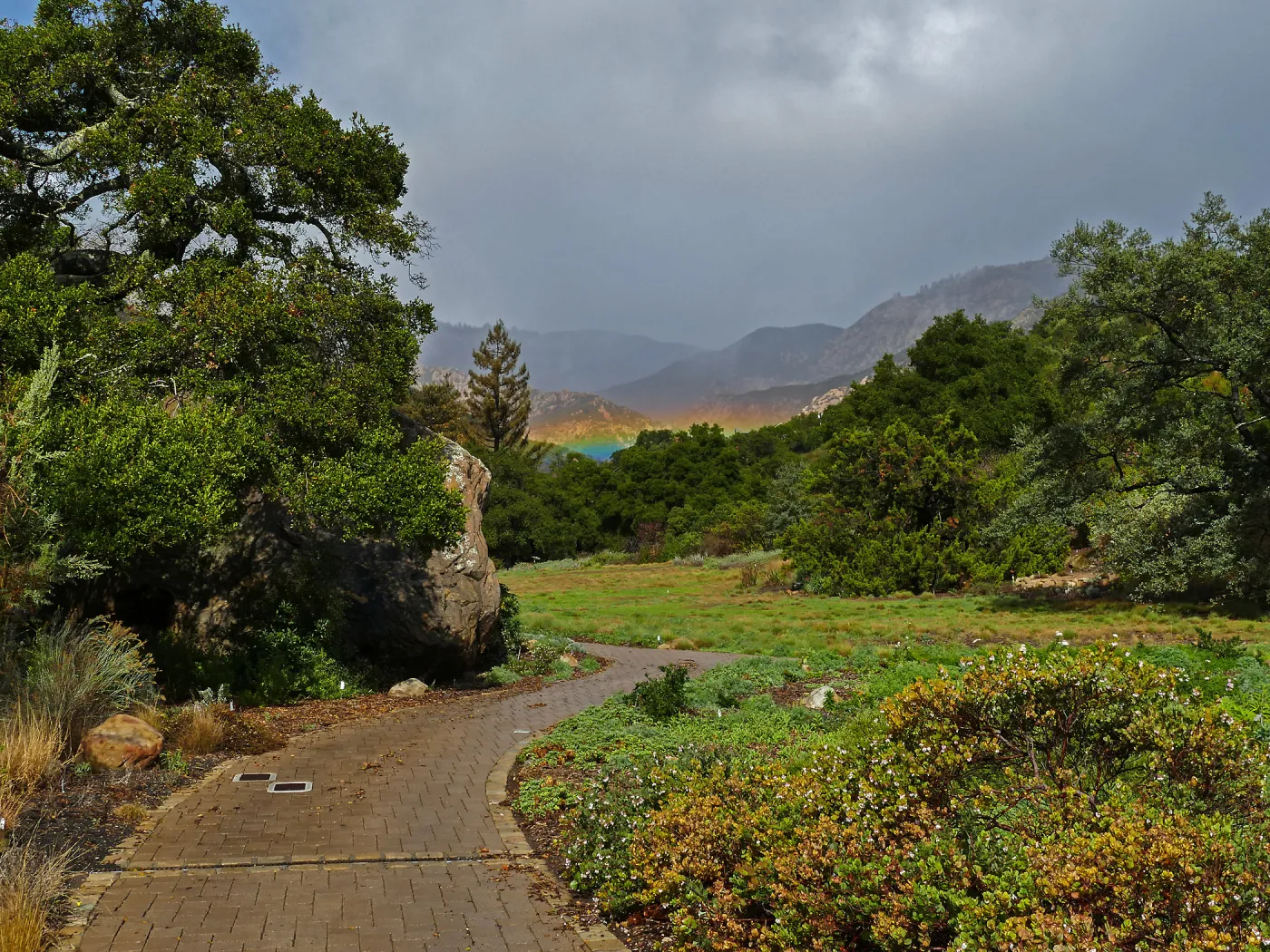 Low rainbow over the Meadow