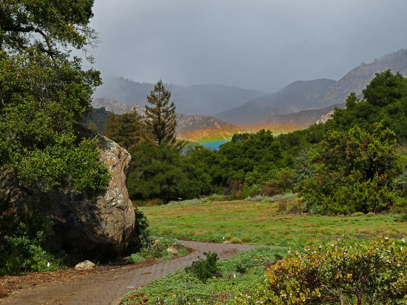 Low rainbow over the Meadow