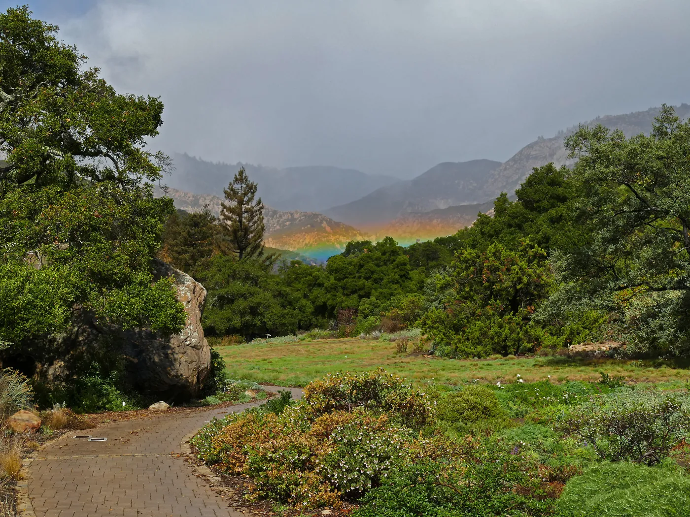 Low rainbow over the Meadow