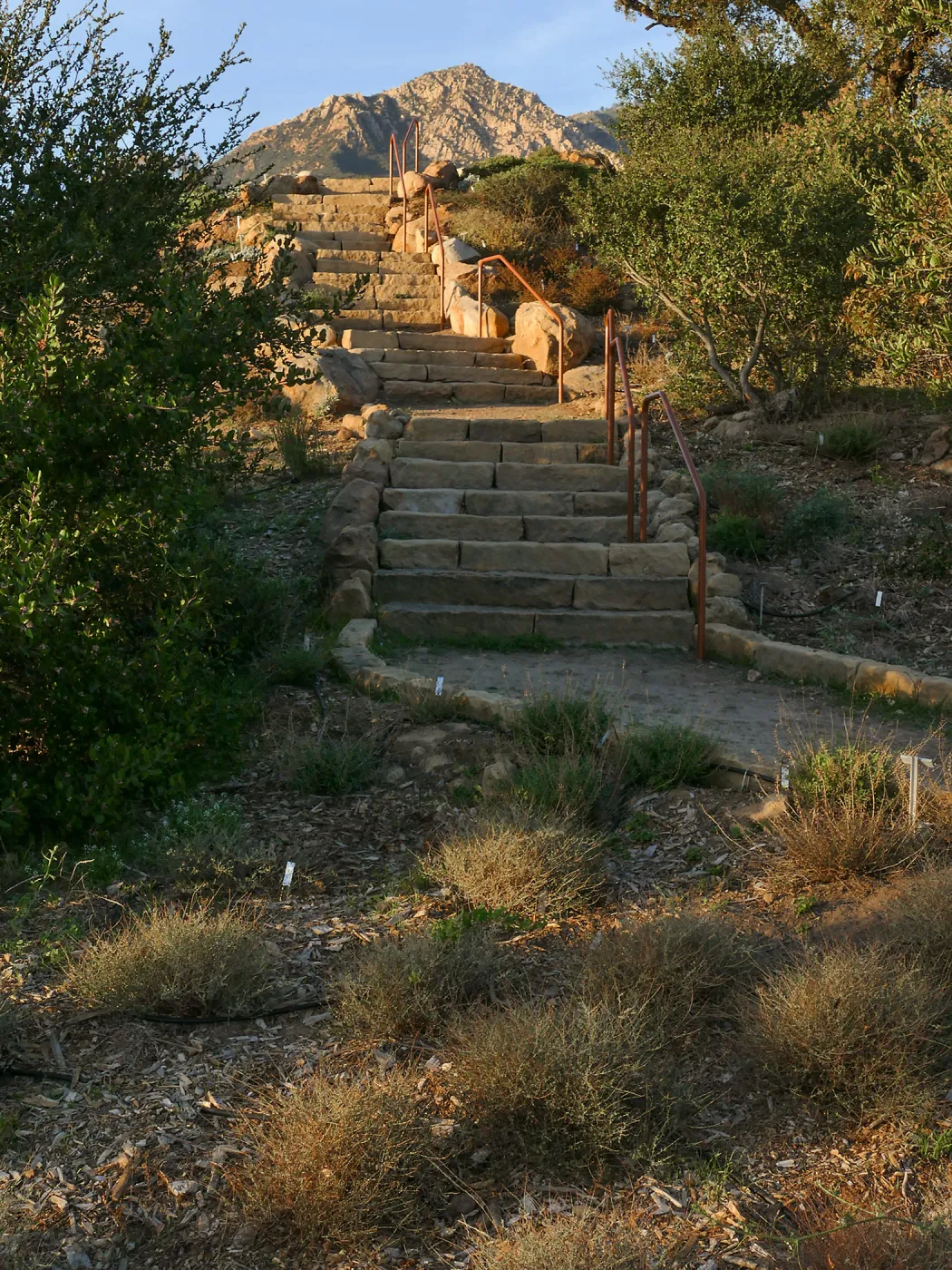 New railing at Island View Garden south steps