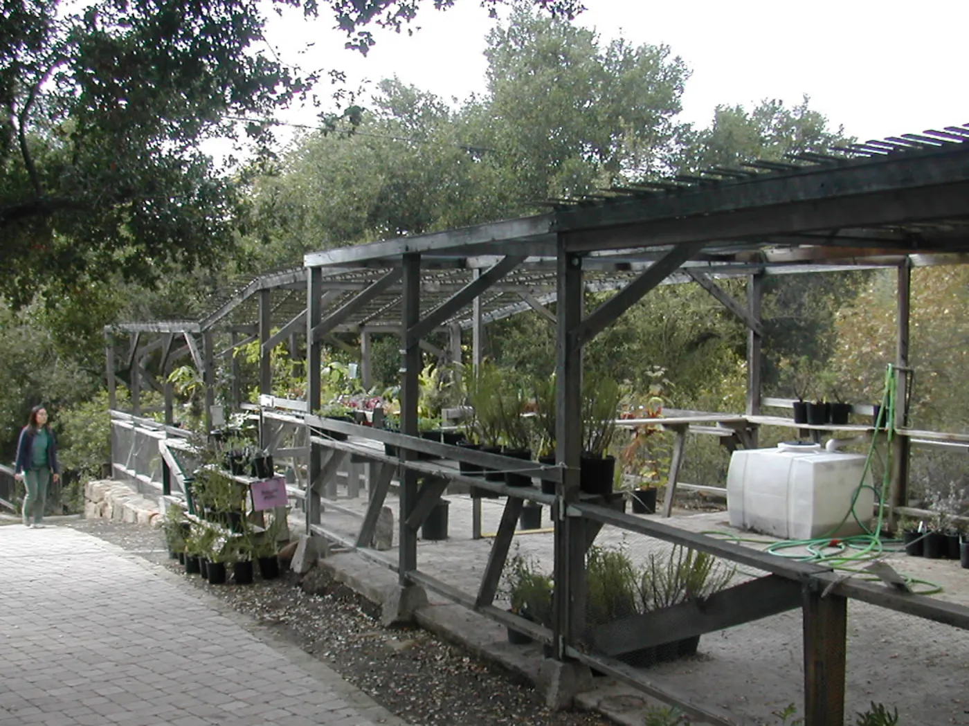 Arbor Terrace