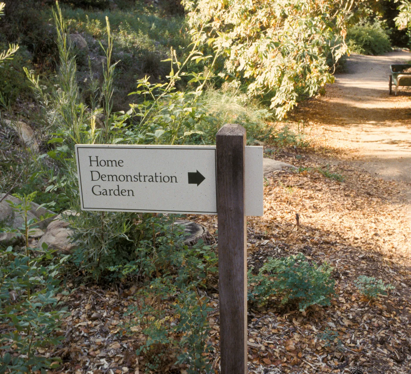 Home Demonstration Garden directional sign in Arroyo Section