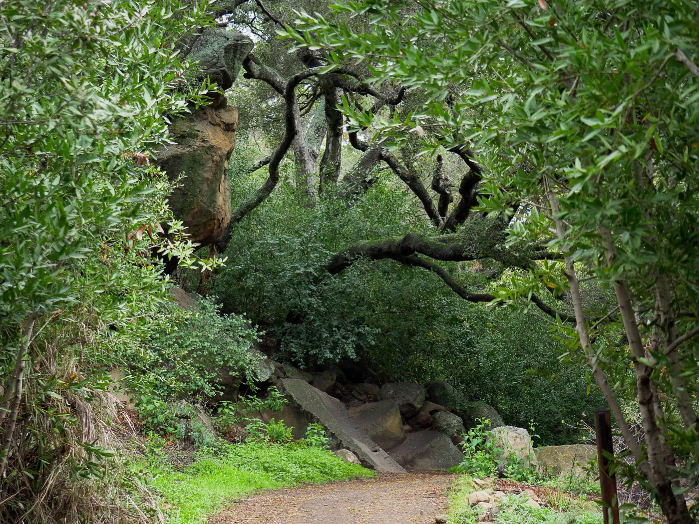 Canyon Trail