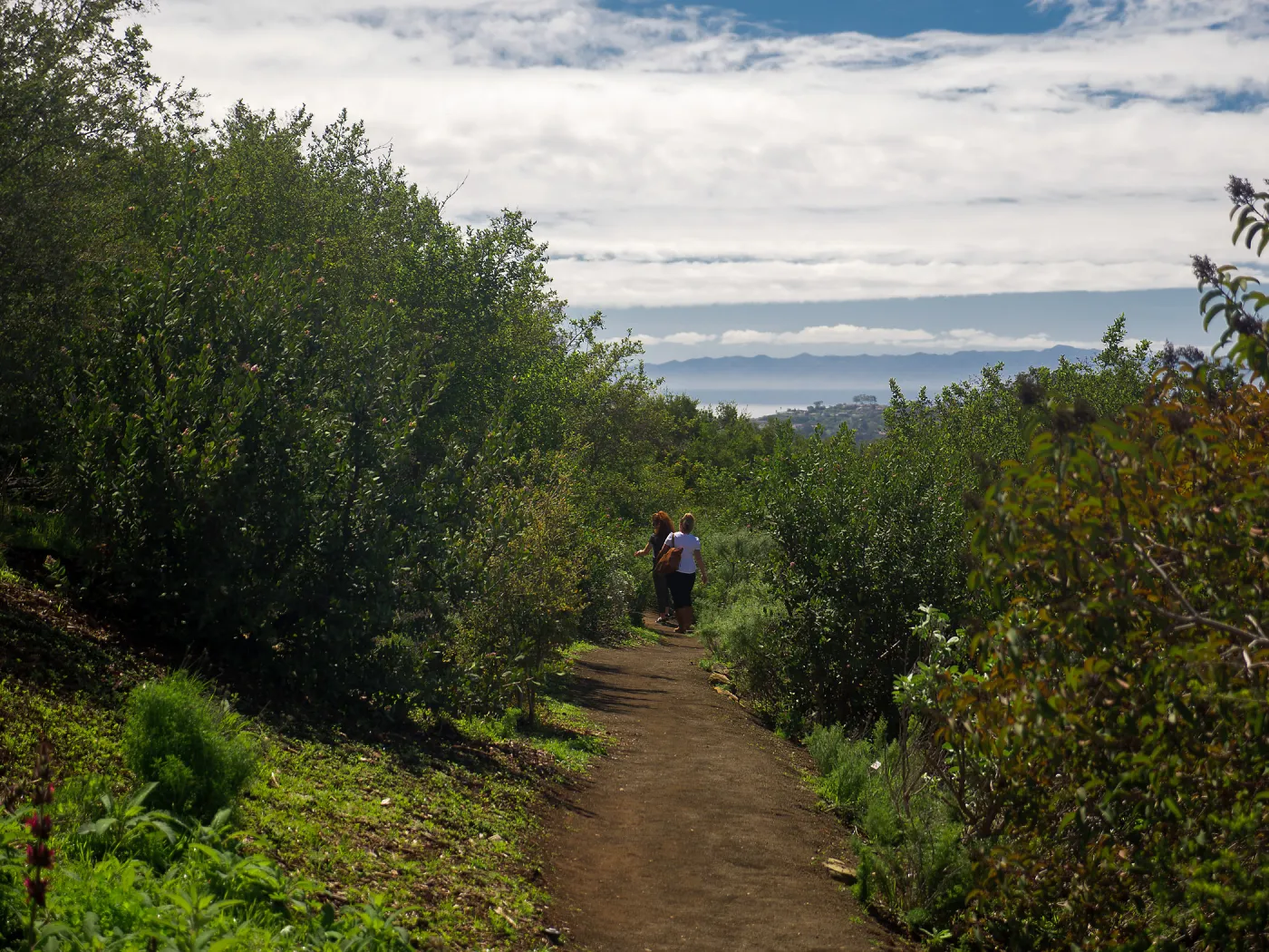 Southwest Trail, looking south