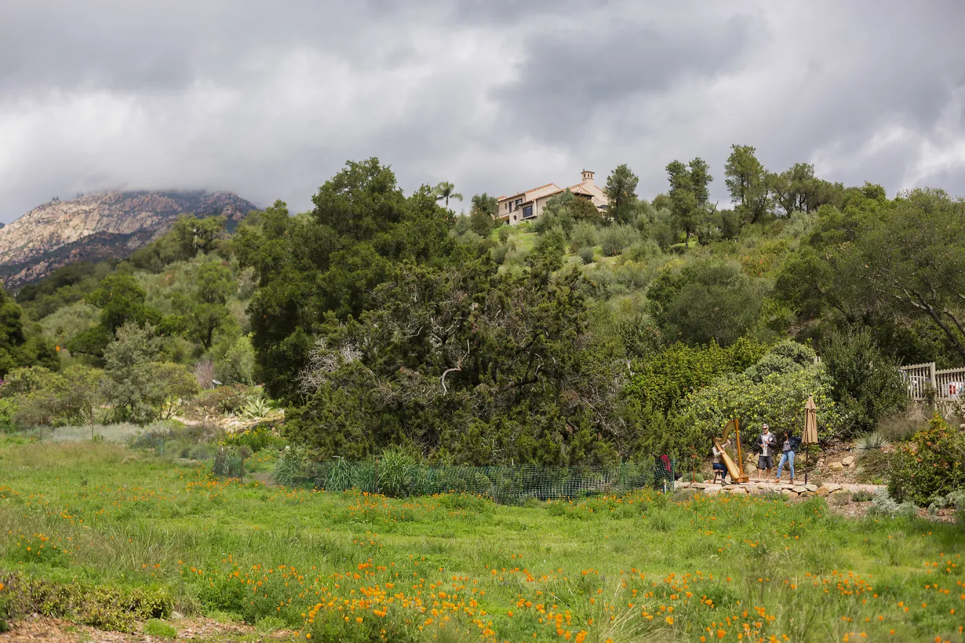 2018 Santa Barbara Beer Garden Event, Meadow