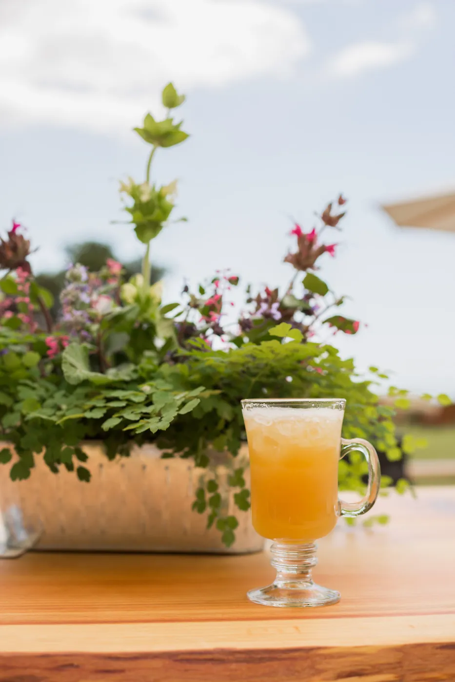 2018 Santa Barbara Beer Garden Event Brew Brunch