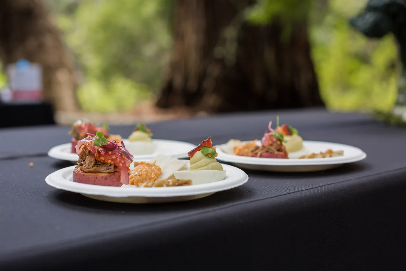 2018 Santa Barbara Beer Garden Event