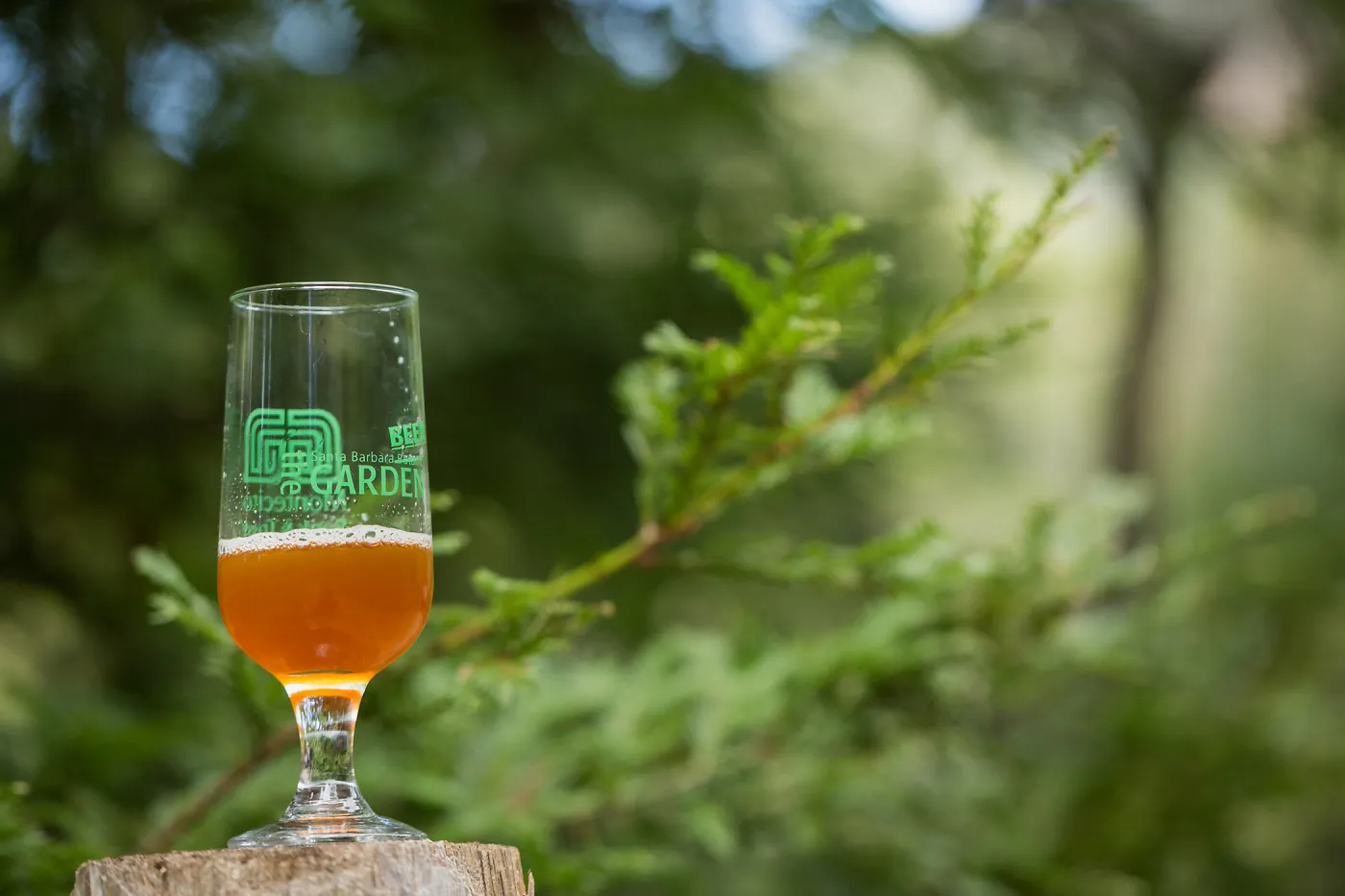2018 Santa Barbara Beer Garden Event